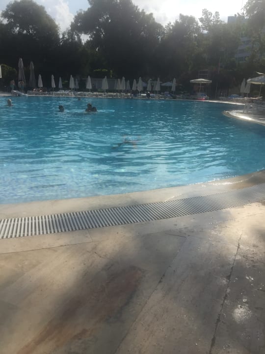 Pool Asteria Collection Side