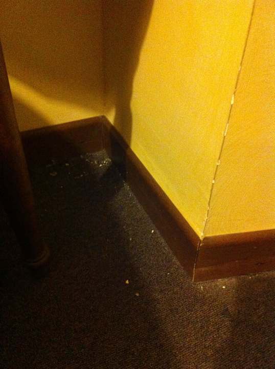 Dreckiger Boden Hotel Quisisana