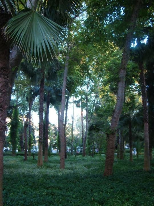 Сад Botanik Hotel & Resort