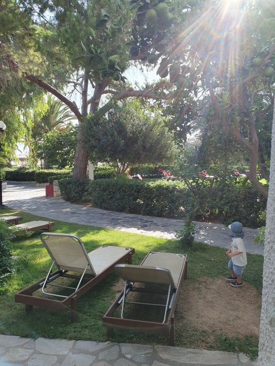 Ausblick Apollonia Beach Resort & Spa