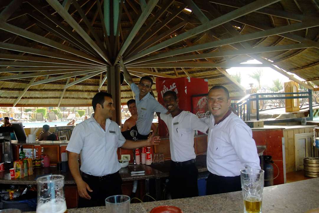 Poolbar Pickalbatros Palace Resort