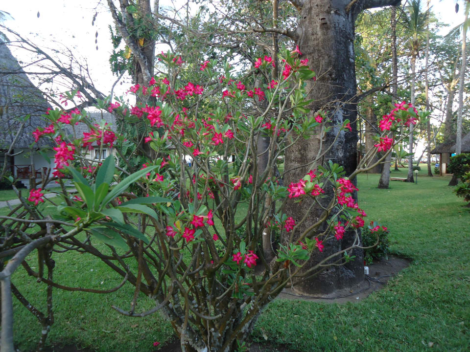 Absolutes Sommerfeeling Neptune Village Beach Resort & Spa