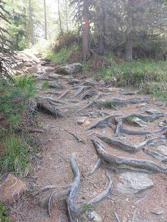 Sport & Freizeit Hotel Kassian