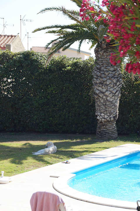 Auch unseren Hund hat es sehr gefallen Villa Marina