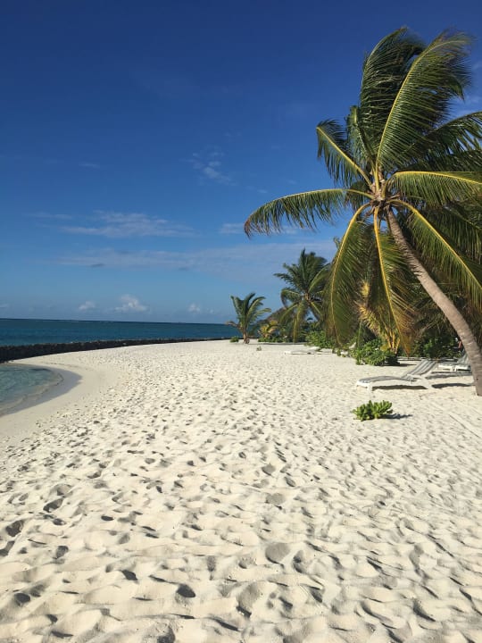 Strand Summer Island Maldives