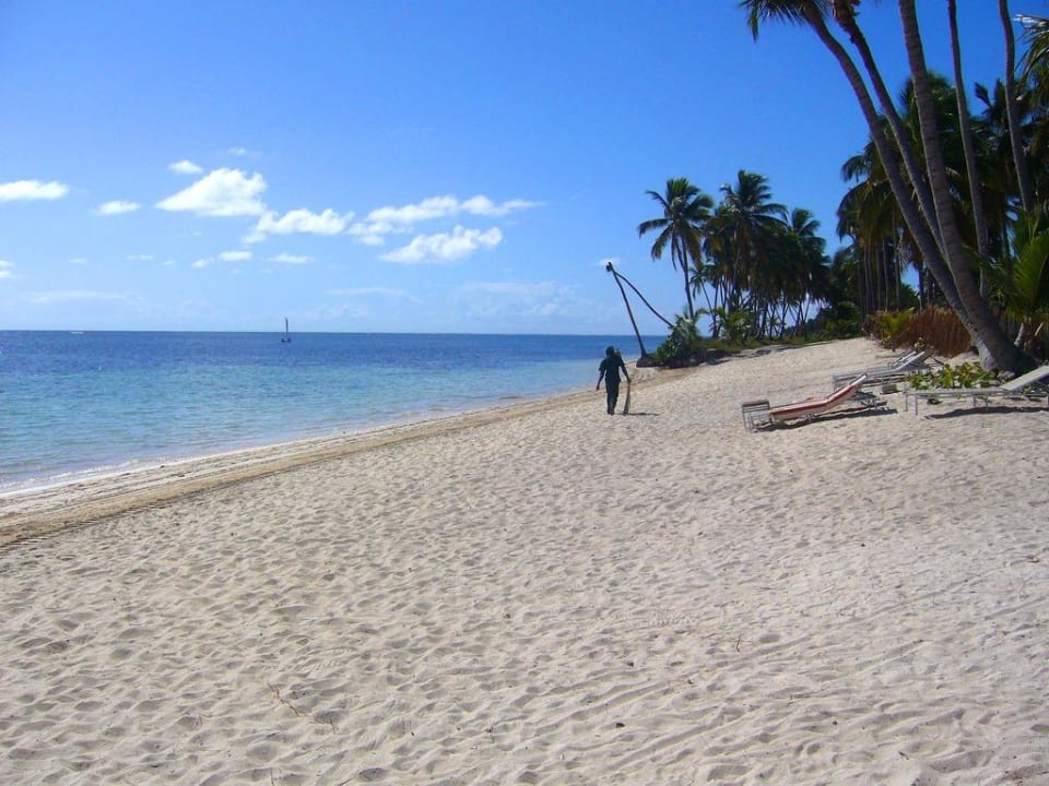 Hotelstrand Royalbereich Catalonia Royal Bavaro - Adults only