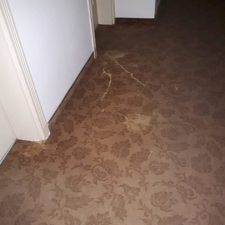Undefinierbare Flecken in den gesamten Fluren der  Grand Seker Hotel