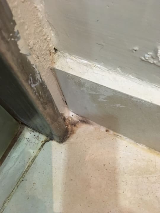 Zimmer TUI BLUE Palazzo del Mare