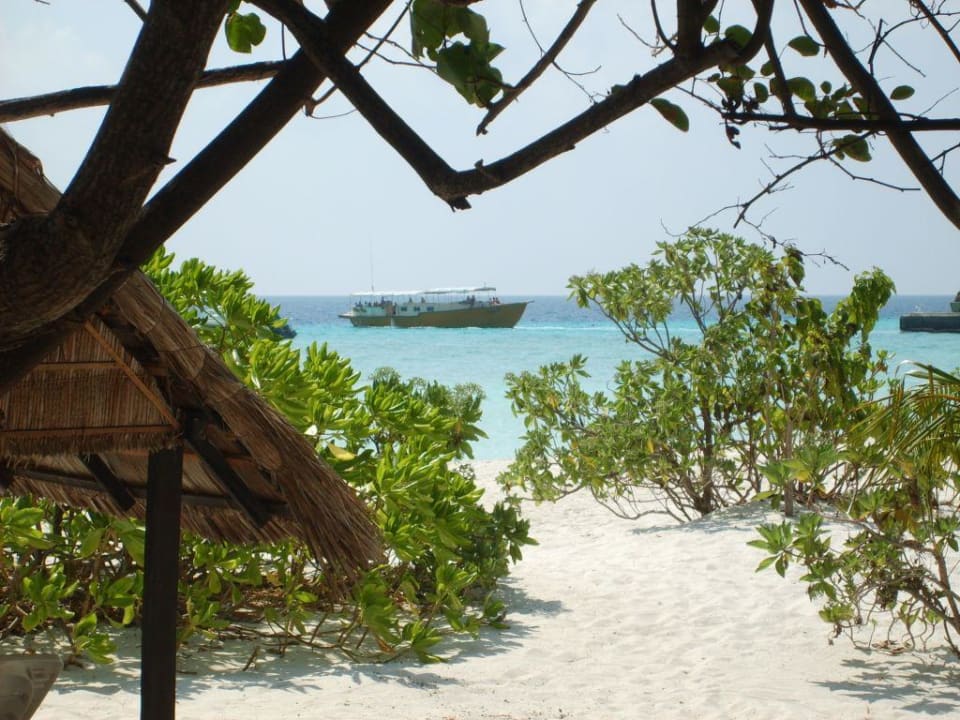 Unser "Bungiblick" Summer Island Maldives