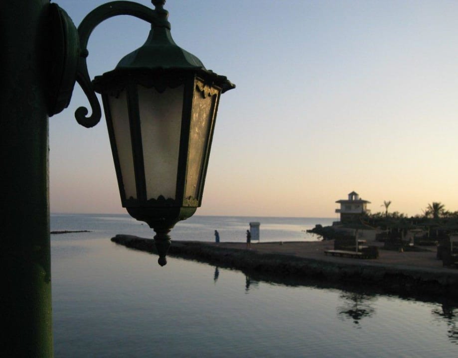 Офанаревший вечер Desert Rose