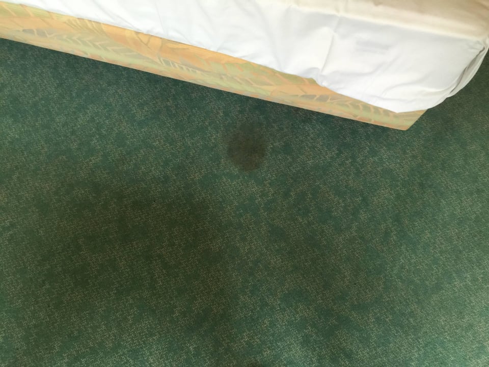 Verdreckter Teppich  acom Hotel Berlin Kurfürstendamm