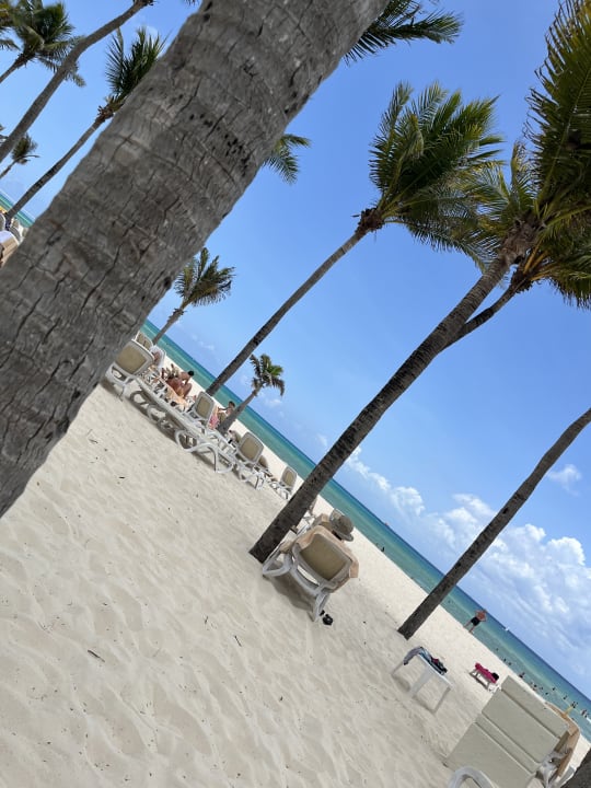 Gartenanlage Hotel Riu Playacar