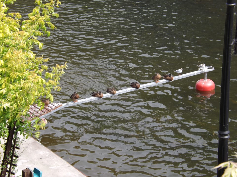Natur pur, Blick auf die Bottsanlegestelle Hotel Nad Pisą