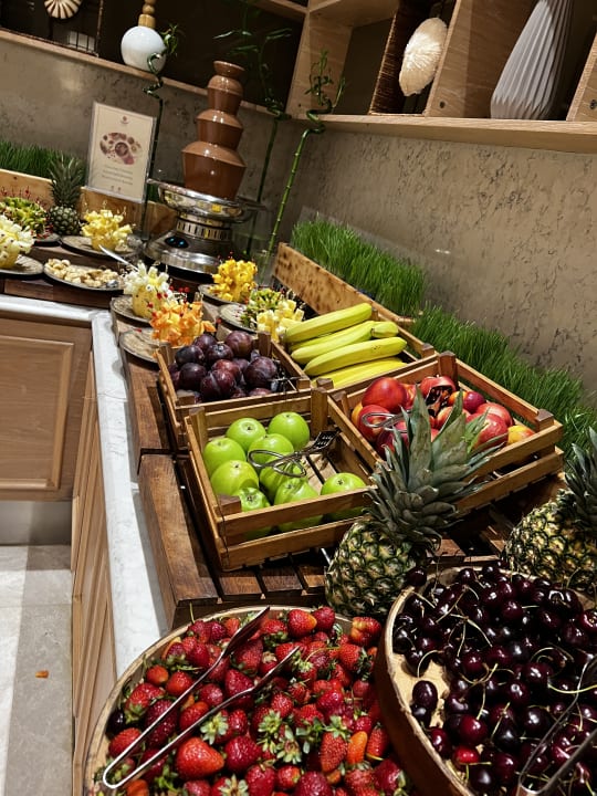 Gastro Acanthus Cennet Barut Collection