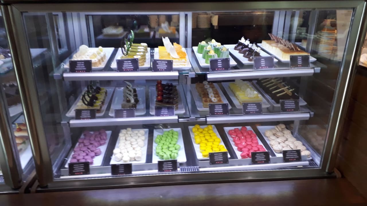 Gastro Acanthus Cennet Barut Collection