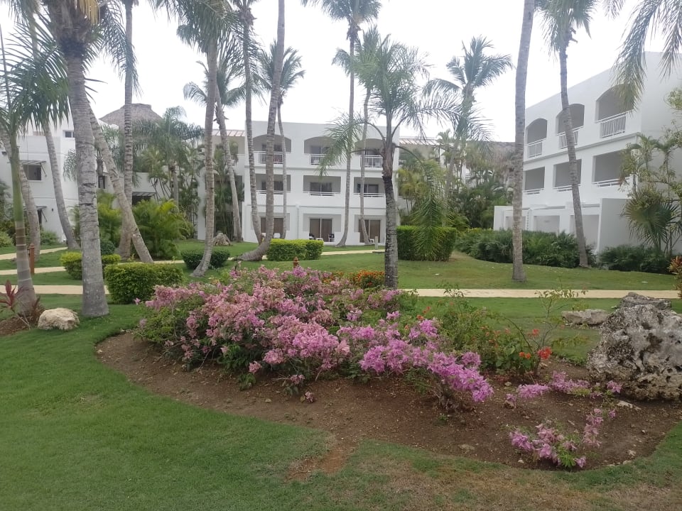 Gartenanlage Sunscape Dominicus La Romana