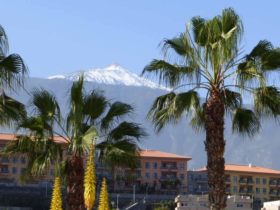 Blick von der Terrasse auf den Teide Be Live Tenerife - Adults only