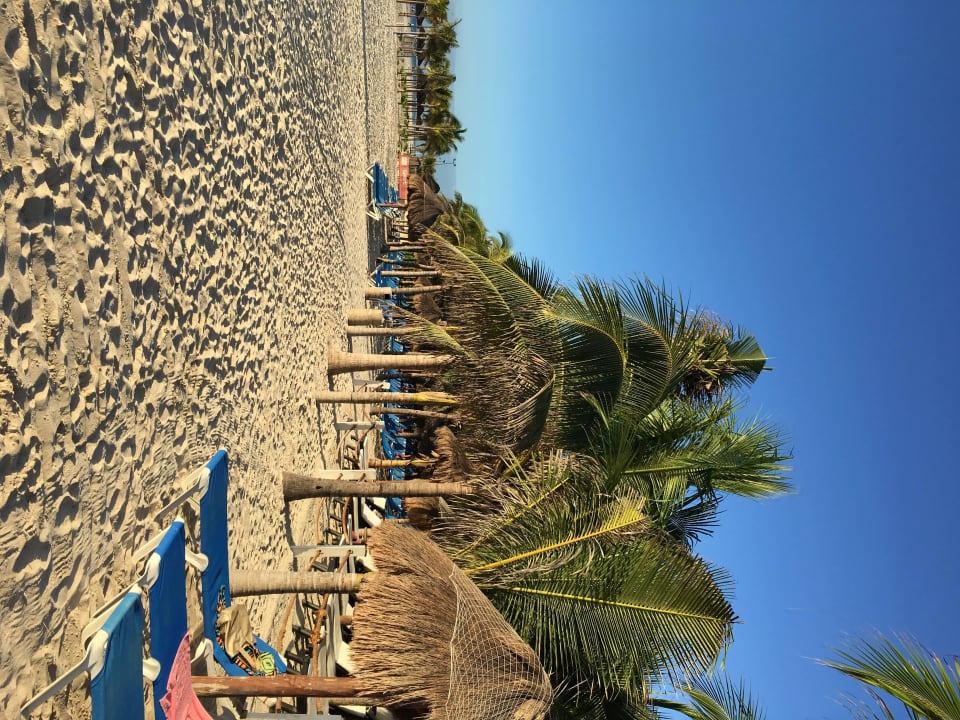 Strandliegen unter Schirmen oder Palmen Viva Azteca by Wyndham - All Inclusive Resort