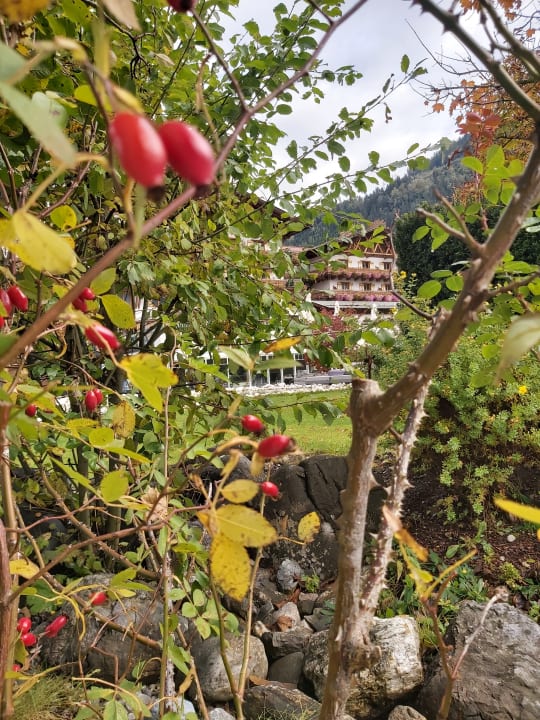 Außenansicht Hotel Oberforsthof