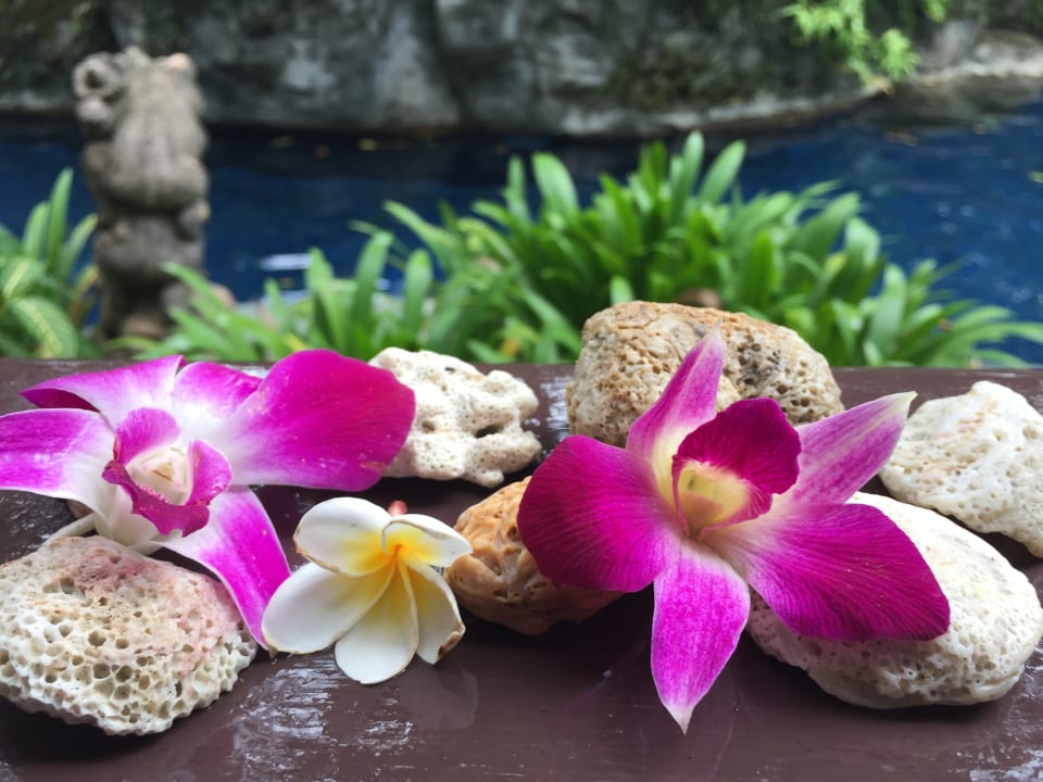 Gartenanlage Khao Lak Merlin Resort