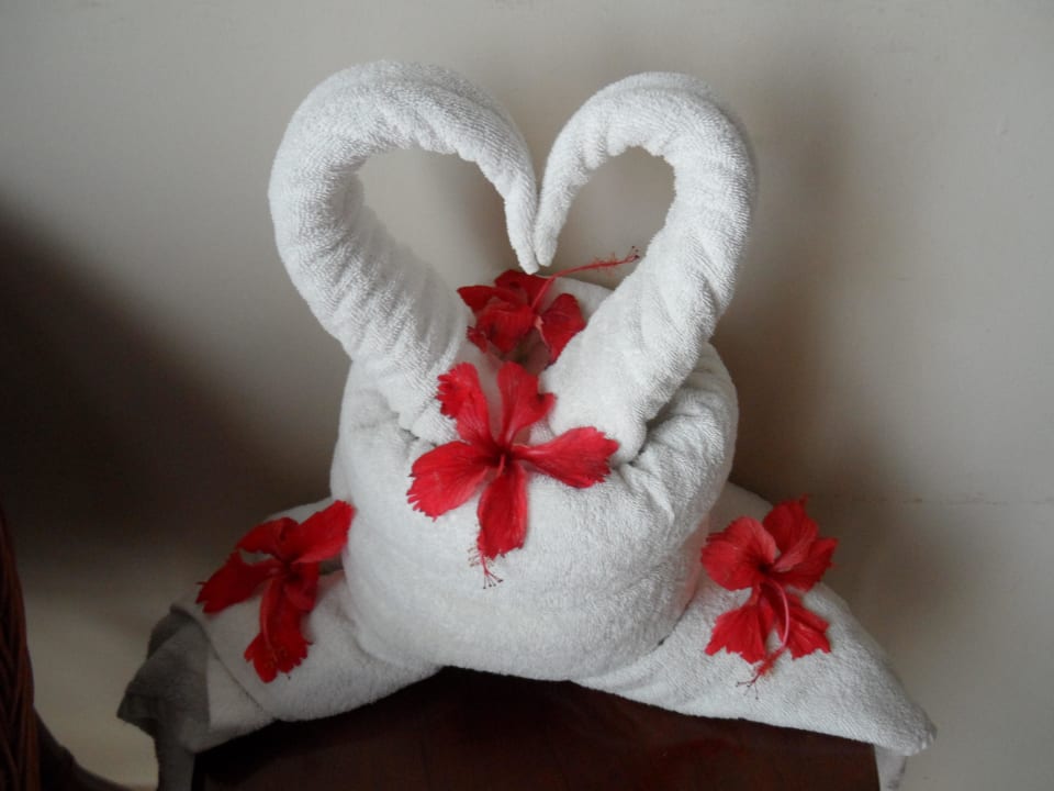 Handtuchfiguren Dreams La Romana Resort & Spa