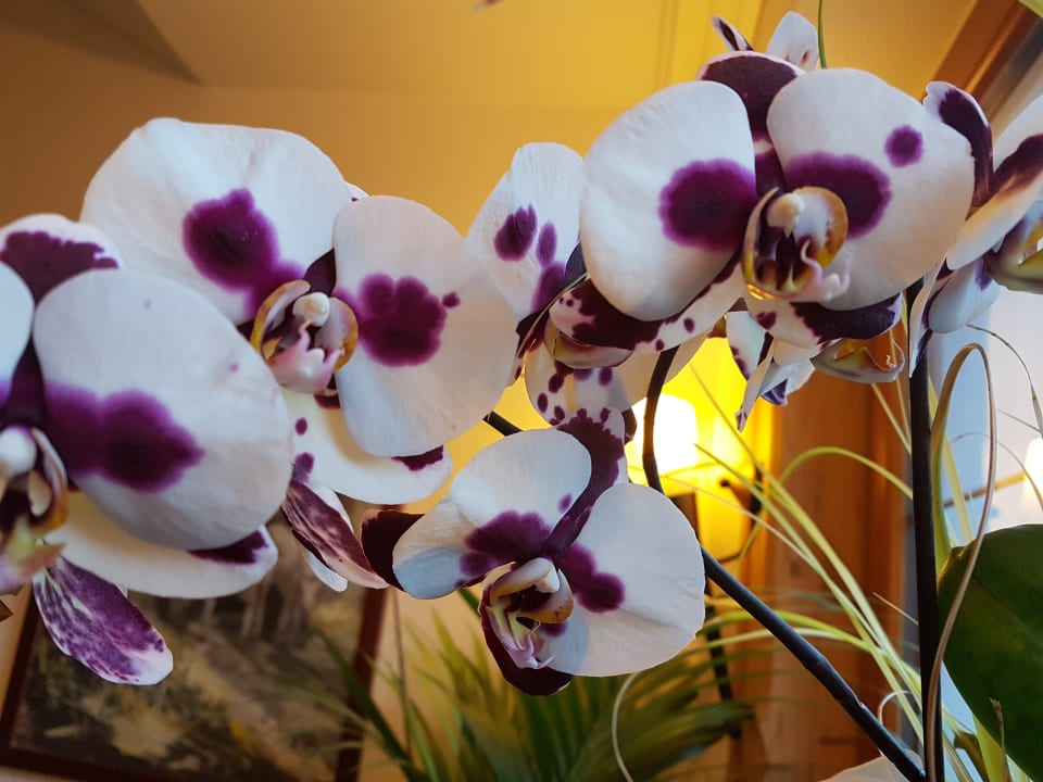 Sonstiges Hotel Olympia