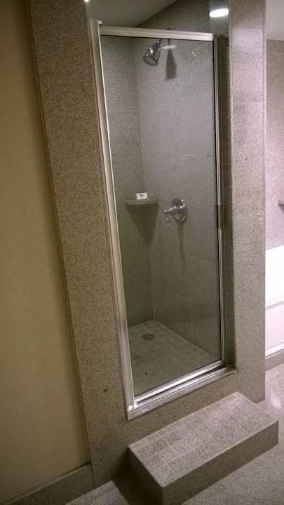 Tolle Dusche Wyndham Garden Baronne Plaza