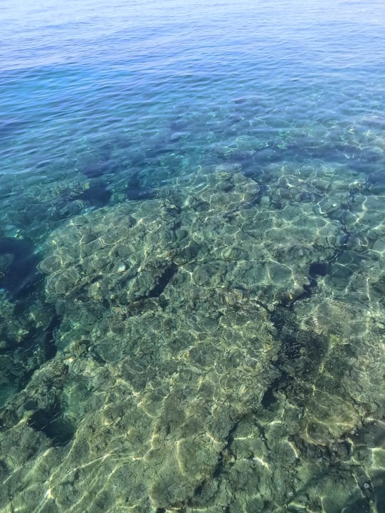 Strand Numa Bay Exclusive Hotel