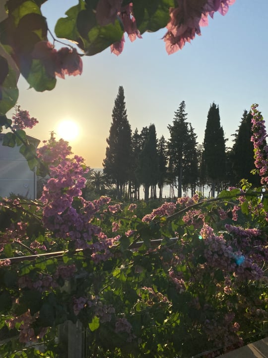 Gartenanlage Aminess Vival Velaris Resort