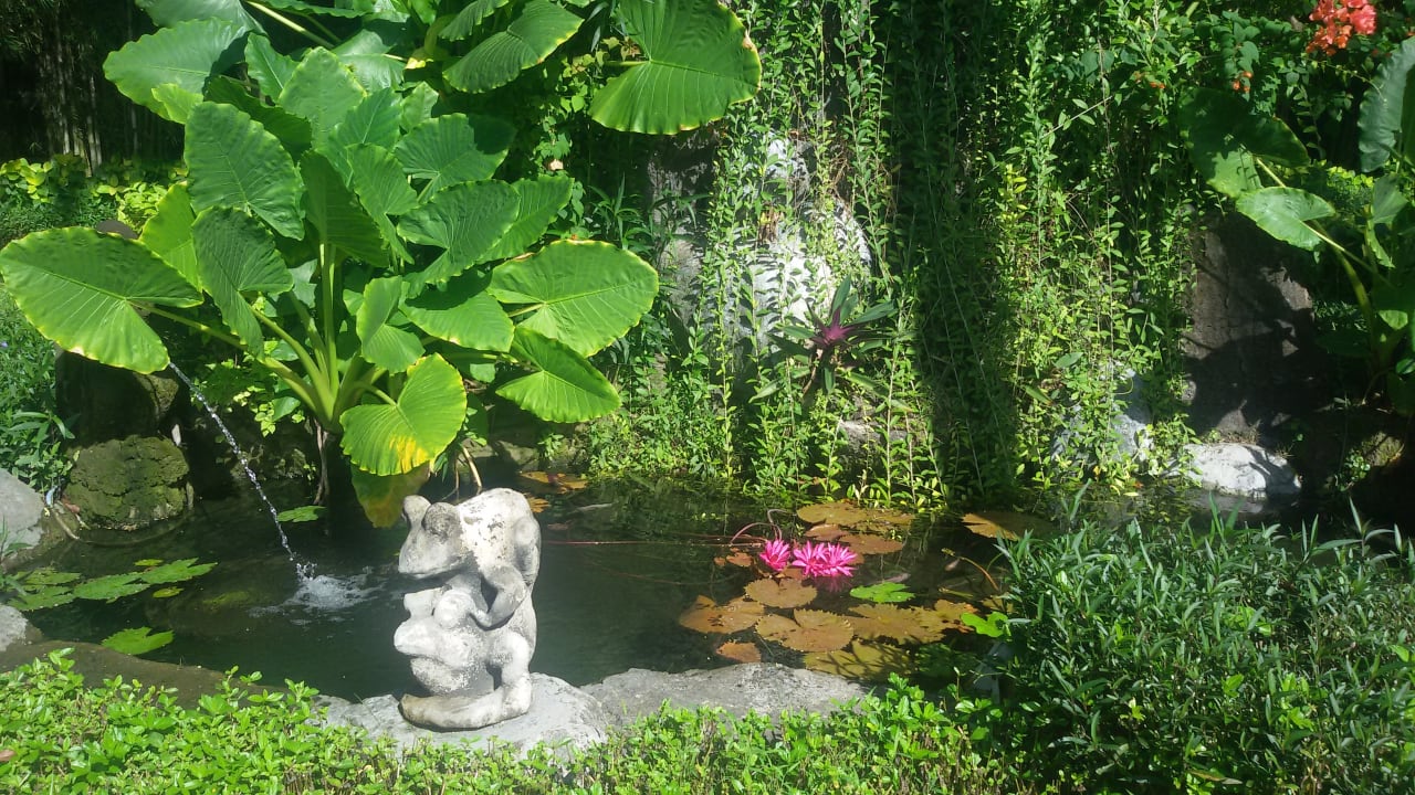 Gartenanlage Paradisus by Melia Bali