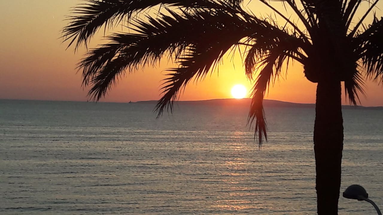 Ausblick AYA Seahotel - Adults only