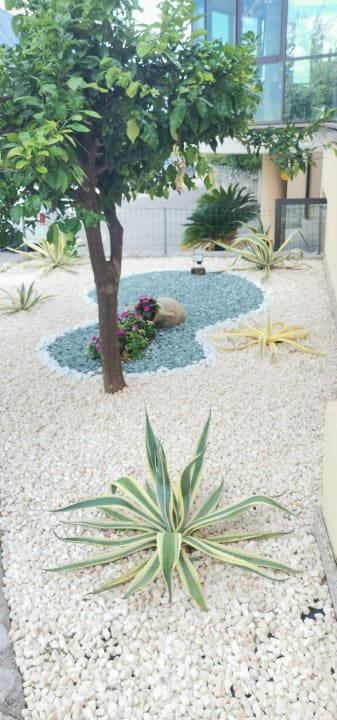 Gartenanlage Hotel Mercedes