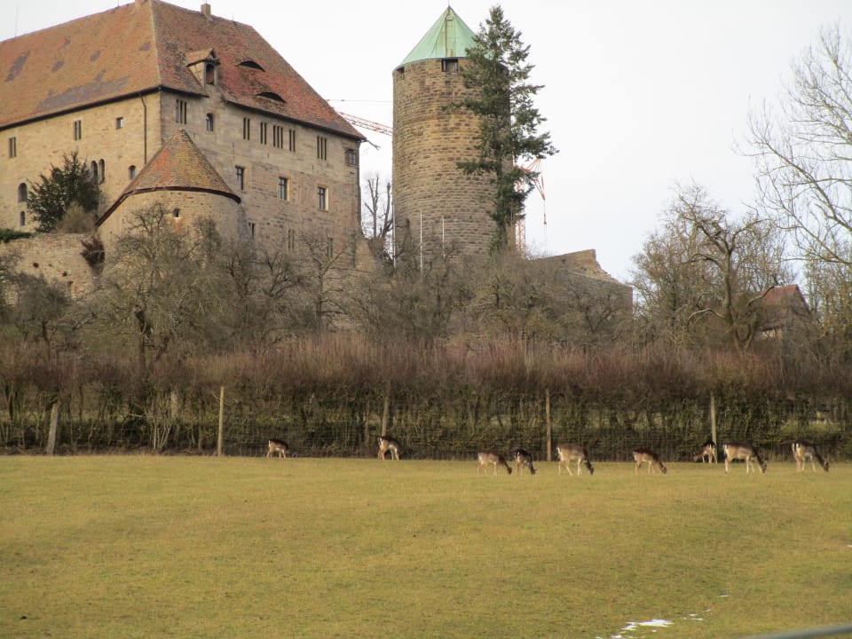 Außenansicht Hotel Burg Colmberg
