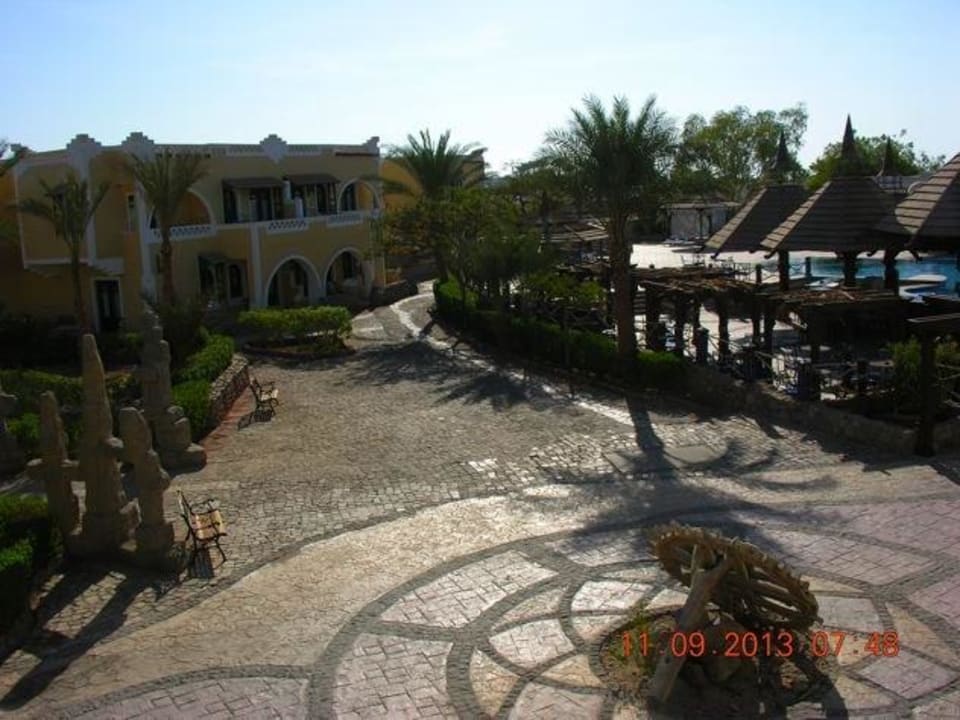 Zieleń bar przy basenie Hotel El Faraana Reef Resort