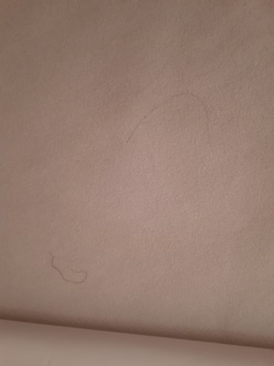 Zimmer Hotel Europahaus Wien