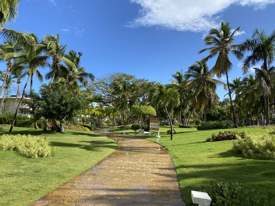 Gartenanlage Catalonia Punta Cana - All Inclusive
