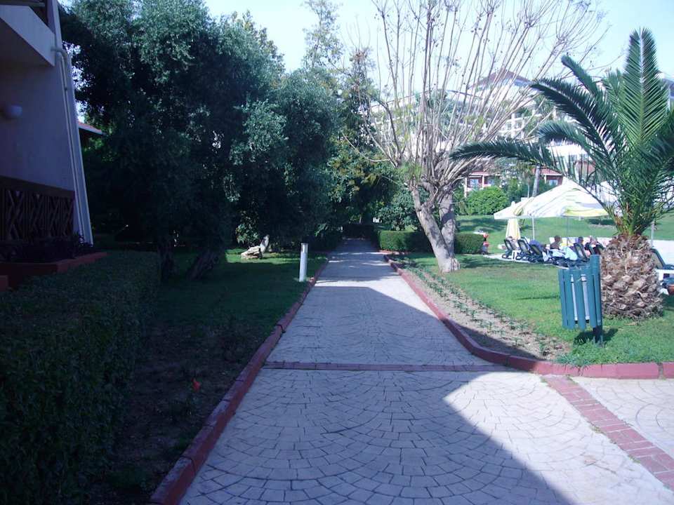 Garten und die Orangenbäume  Horus Paradise Luxury Resort & Club
