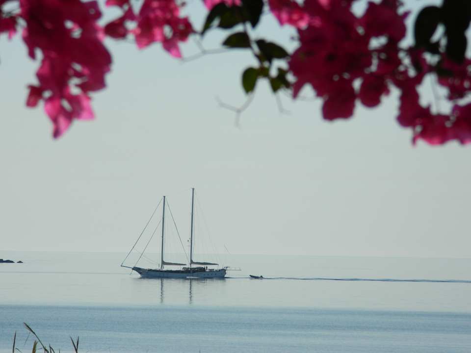 Ausblick Ilios of Paros