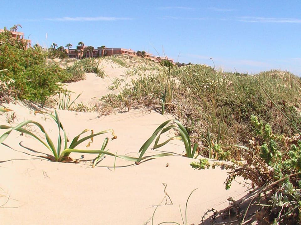 Strand am Hotel Valentin Sancti Petri