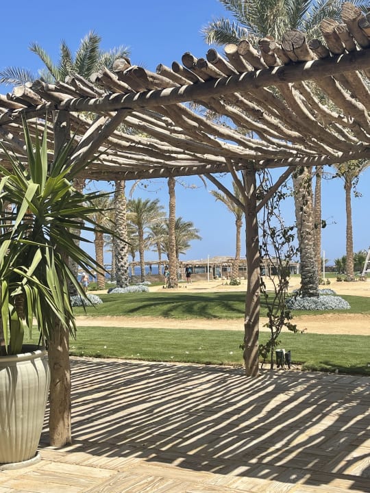 Strand Steigenberger Resort Alaya Marsa Alam - Red Sea - Adults only