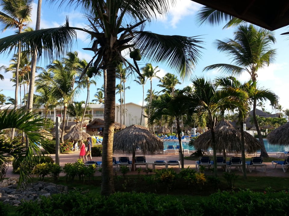Blick auf den Pool VIK Hotel Arena Blanca
