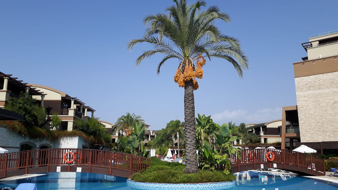 Pool Sunis Kumköy Beach Resort Hotel & Spa