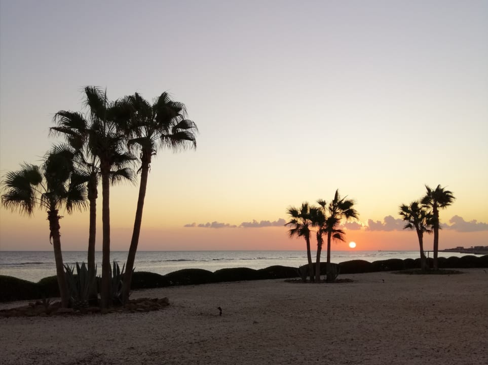 Gartenanlage Mövenpick Resort El Quseir