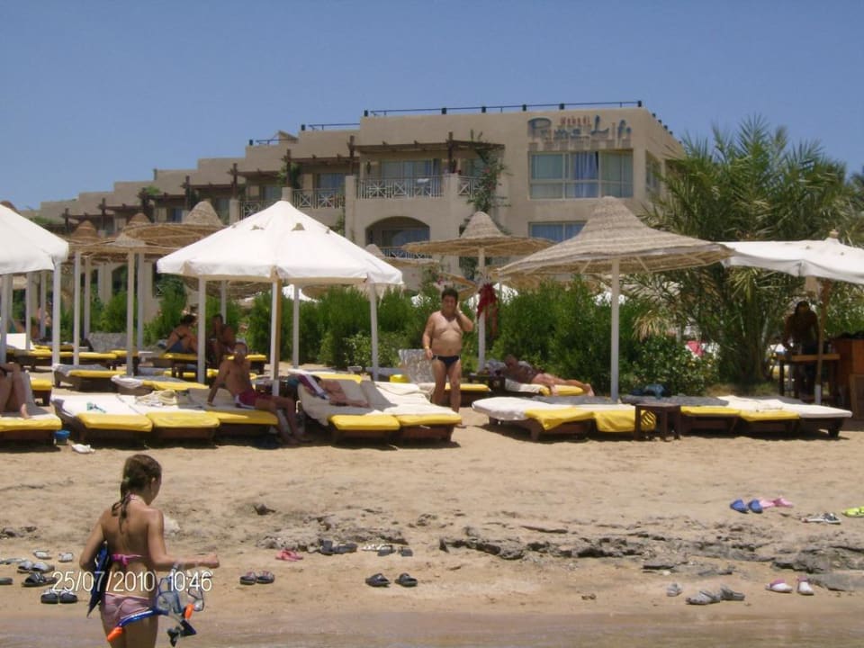 Teil des Hotels vom Strand gesehen Prima Life Makadi Resort