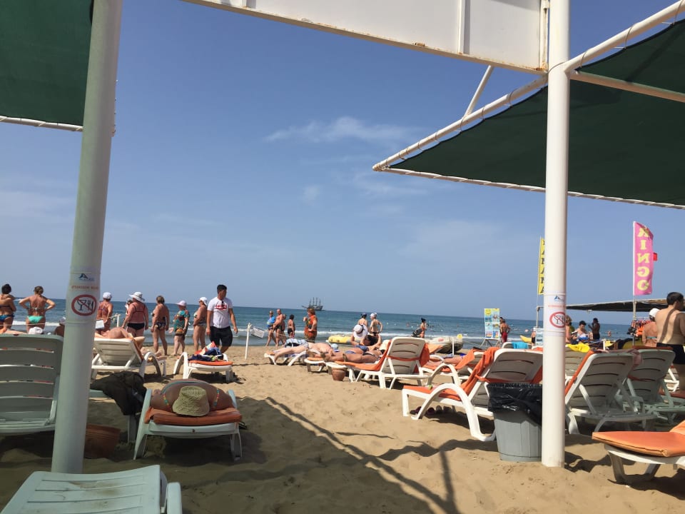 Strand Side Alegria Hotel & Spa - Adults only +16