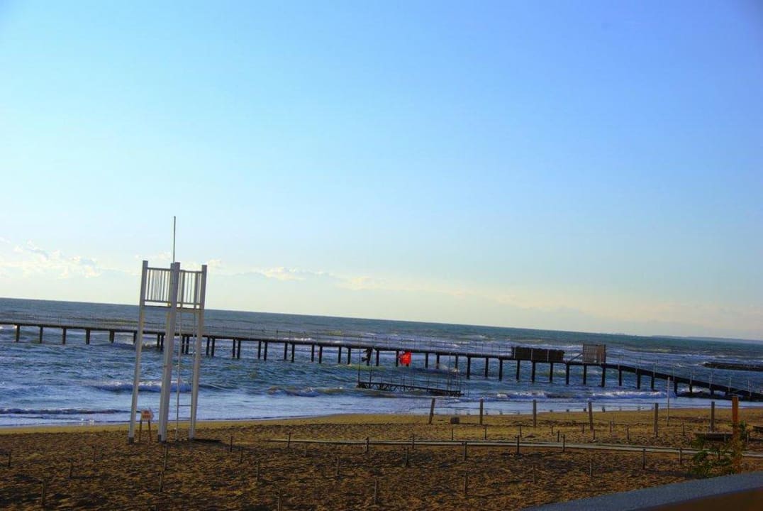 Stand 12.12.2011 Arum Barut Collection