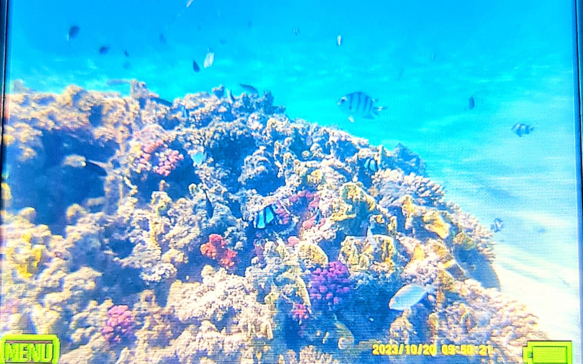 Strand Shams Prestige Abu Soma-Adults Only