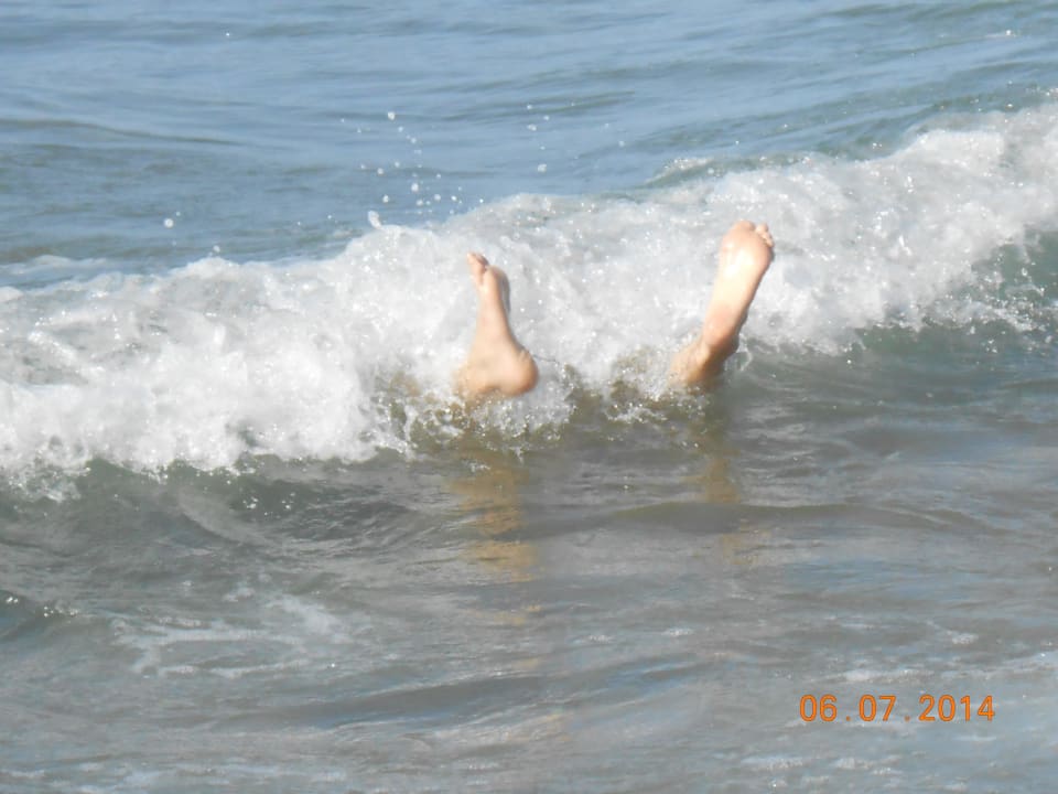 Ein Kopfstand Delfina Tropic Beach