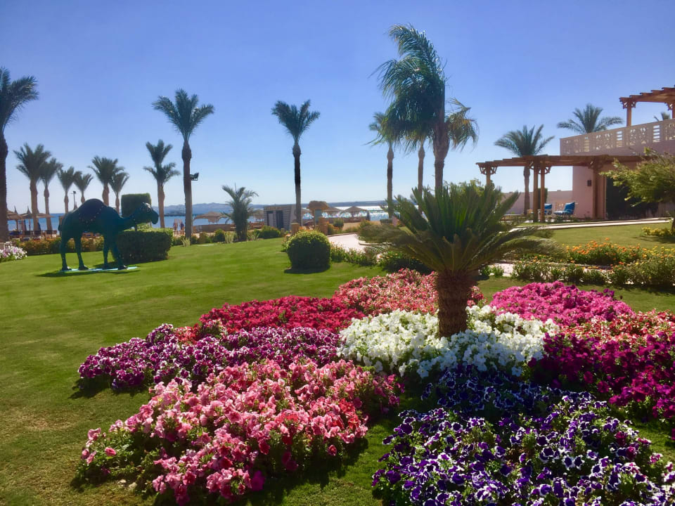 Außenansicht Pickalbatros Palace Resort