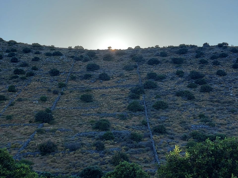 Gartenanlage Elounda Residence Resort & Waterpark